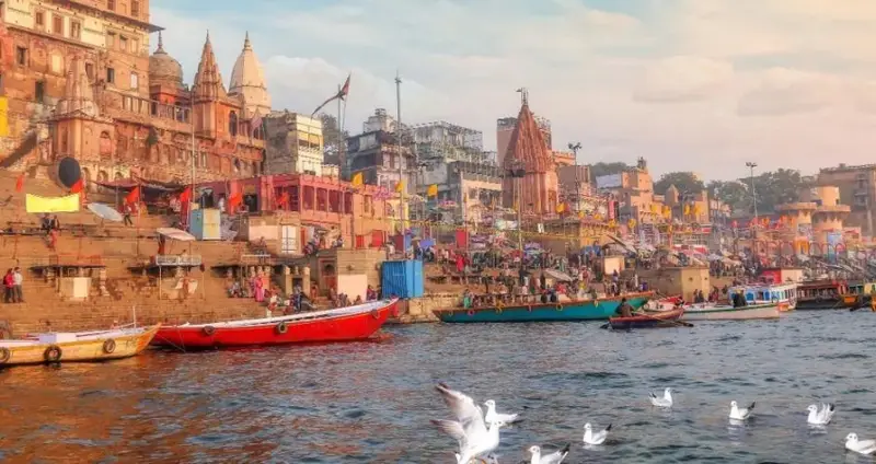 License Guide / Local Guide